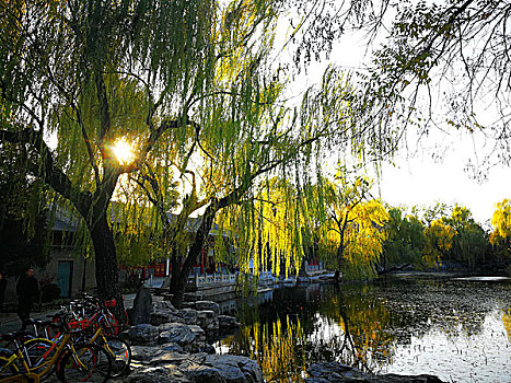 dự đoán wap