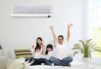 Vì sao chọn Codilanvietnam  Vì sao chọn Codilanvietnam